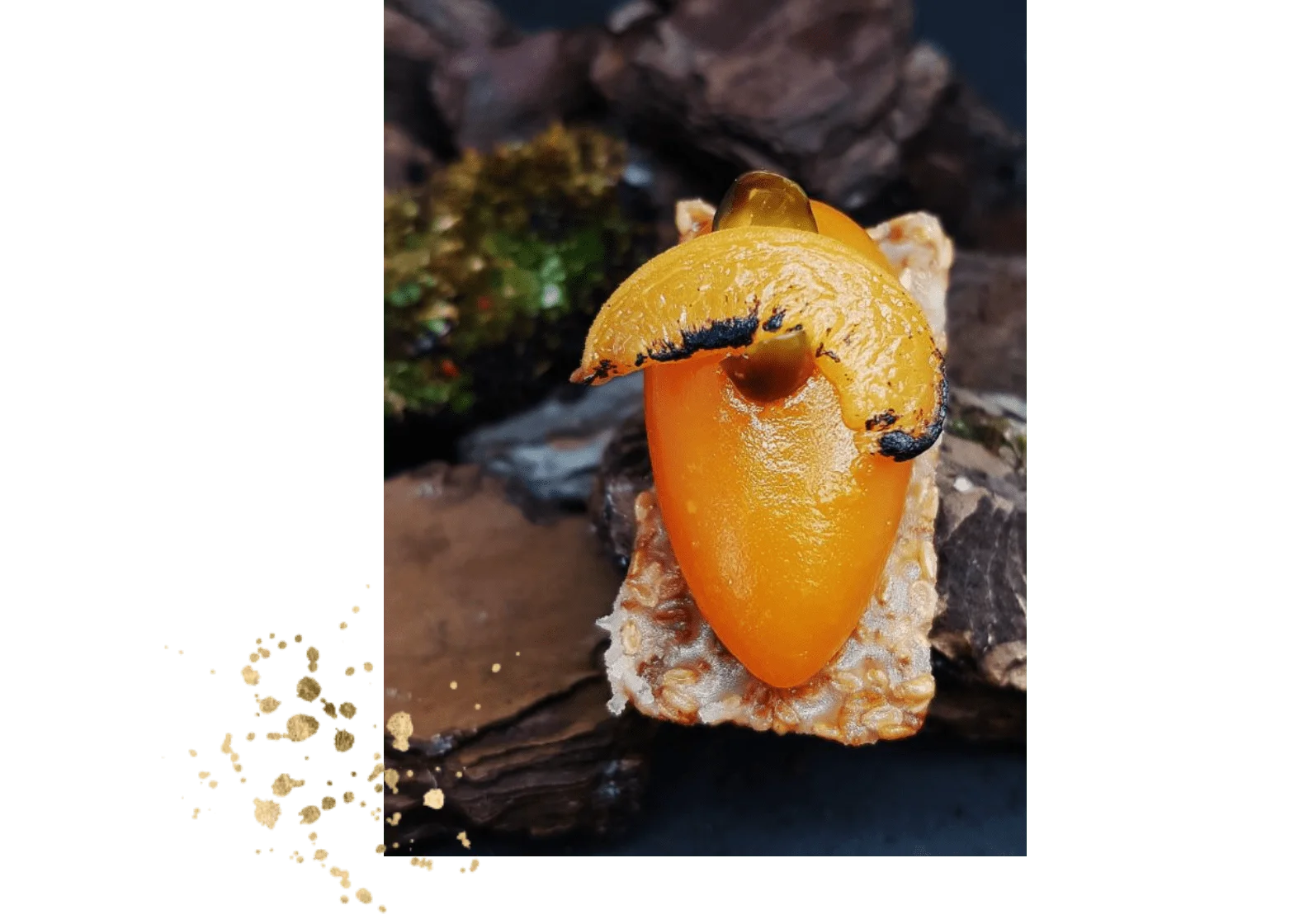 Cocktail sucré raffiné dressé par Gastronomia Traiteur